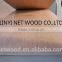 4x8 Indoor Usage Furniture Grade Bintangor Plywood