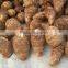 taro buyers in the middle east