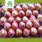 new arrival fresh apple fruit fuji apple with market price