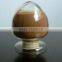 Reishi Mushroom Extract Powder