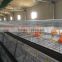 Poultry farming popular used automatic broiler chicken rearing cage
