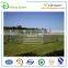 galvanized frame pipe cattle goat fence for sale