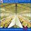 Steel Structure Poultry Farm House Design