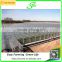 Serea hot sale agriculture glass covering greenhouse shade /green-house