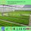 Steel Pipe Manufacturer Vegetable Greenhouse With Cost Price