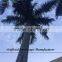 cheap Artificial coconut trees,outdoor coconut palm tree plastic tall tree