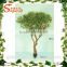 Wholesale artificial potted plant home decorative artificial tree plastic artiicial banyan tree