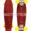 HFCW05 wholesale New Product fish skateboard PP plastic four wheel skateboard