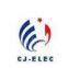 Shenzhen Caijing Electronics Co., Ltd