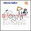 cummins ve pump rebuild-denso injector pump rebuild kit 2 417 010 021/800718 for ISUZU