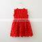Girl Kids Lace Up Dress Baby Girl Party Dress Flower Dress