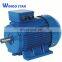 100kw brushless Three Phase Ev Electric Ac squirrel-cage Induction Motors