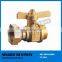Economical Brass Ball Valve for Water Meter for Sale