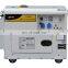 BISON(CHINA) 178F Diesel Powered Engine 3000 Watts Diesel Generator