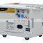 BISON(CHINA) 178F Diesel Powered Engine 3000 Watts Diesel Generator