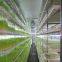 40HQ hydroponic fodder system container farmhydroponic growing systems shipping container hydroponic system