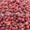 IQF Frozen A13 25-35mm Strawberry From China