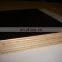 Cheaper price black or red  film faced plywood  marine plywood in liaocheng chengxin wood factory