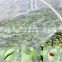 60 Mesh Plant Vegetables Protection Anti Insect Net Garden Fruit Care Cover Flowers Protective Net Greenhouse Pest Control OEM