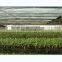 100% Virgin HDPE Agriculture Sun Shade Net Summer Prevent Strong Light Heavy Rain Insect Green House Net