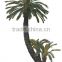 trees & plants type large leaves cheap artificial green plants cycads plants