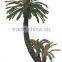 trees & plants type large leaves cheap artificial green plants cycads plants