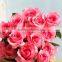 Durable honey peach coral peach rose flowers