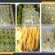 Leader stainless steel peeler and slicer for fruits with CE&ISO