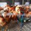 Poultry Farms Equipment, Animal Husbandry Equipment, Plastic Floor Beams for Pig Farming Equipment
