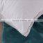 Soft D/P Cotton Fabric 10% Duck Down Pillow Inner For Hotel