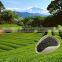 China hot sale green tea manufacturer High Quality chunmee green tea 4011