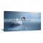 Beauty Swan animal Canvas Printing Painting Bedroom decor DWYS81
