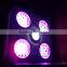 Budmaster II 1200 G.O.D LED Grow Light 600w