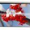 Matte White Electric Projector Screen/Rear Projection Screen
