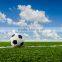 Indoor Soccer Field/Soccer and Football Grass/Artificial Grass Yarn