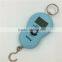 High quality 10~45kg portable digital hanging fish weight scale