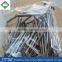 low price high quality nial size common nails supplies