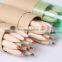Promotional sharpener including hot selling 12 color pencil set