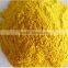 pumpkin seed extract powder/pumpkin powder