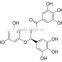 T-full EGCG - Our Key Product