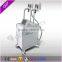 Hot!! Freeze fat reduce/fat removal cellulite machine on sale promotion