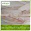 frozen saithe /pacific cod fillet