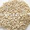 good quality CASHEW NUTS WW320