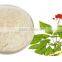 Siberian Ginseng Extract