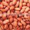 Wholesale peanut