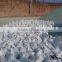 Large Granular Rocks Clinoptilolite Zeolite for bio filter media
