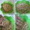 Facotry cat litter-Pine wood with natural scent
