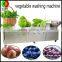 Best popular whole stainless steel bubble vegetable washing machine with ozone system fruit washer automatic vegetable washing