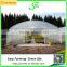 Low Cost Greenhouse Tunnels Polytunnel Green House