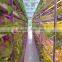 Best seller 20w led grow tube growing led light use in amsterdam